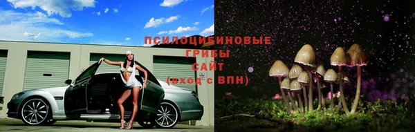 дурь Абинск
