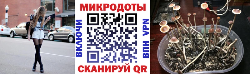 Галлюциногенные грибы GOLDEN TEACHER  blacksprut сайт  Ханты-Мансийск 