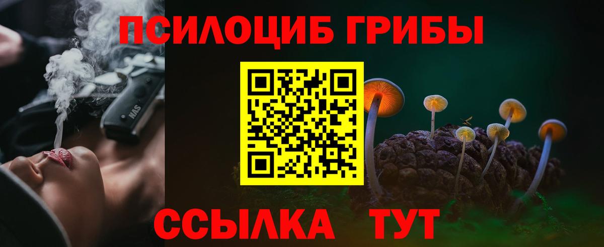 Галлюциногенные грибы Psilocybine cubensis Ханты-Мансийск